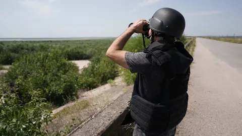 На місці Каховського водосховища виріс ліс: науковці проти повторного затоплення