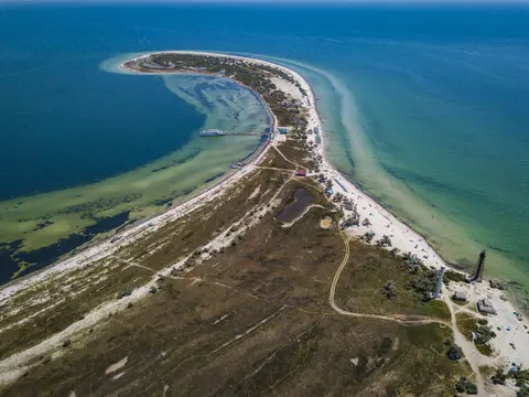 На Джарилгачі вигоріло близько тисячі гектарів заповідника