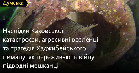 Підводні новини: нові види риб і крабів біля берегів Одеси