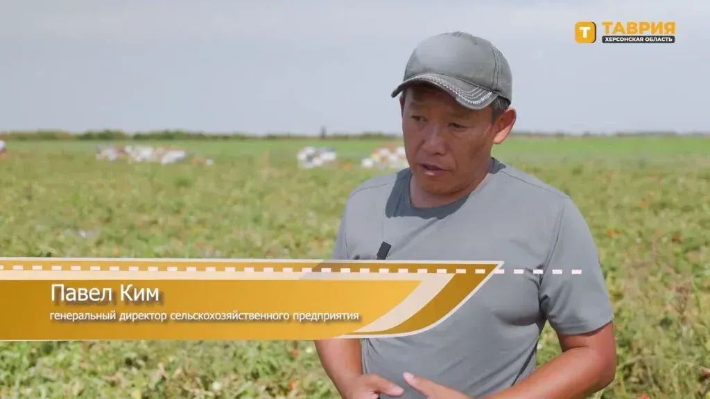 Окупанти планують створити агрегатора агропродукції на Херсонщині