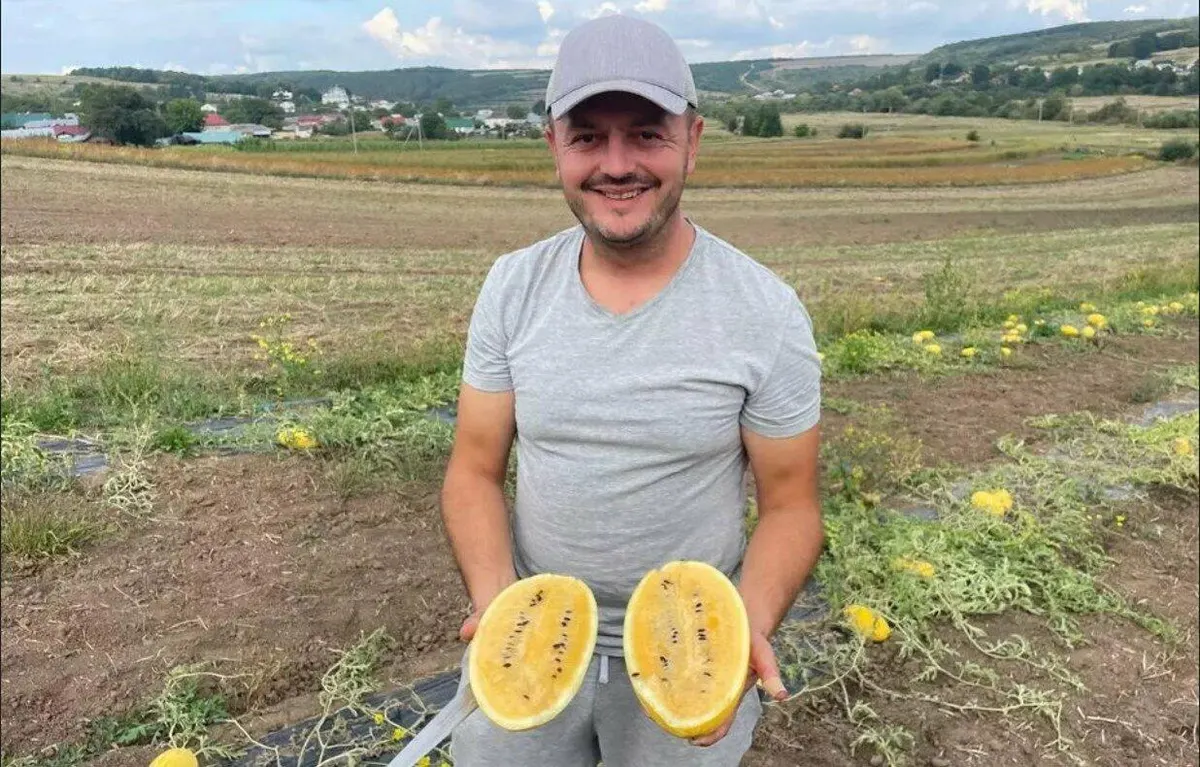 Ветеран ЗСУ на Тернопільщині вирощує кавуни: понад 5 тисяч саджанців на гектарі