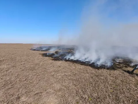Пожежі на Херсонщині: вигоріла третина Тендрівської затоки