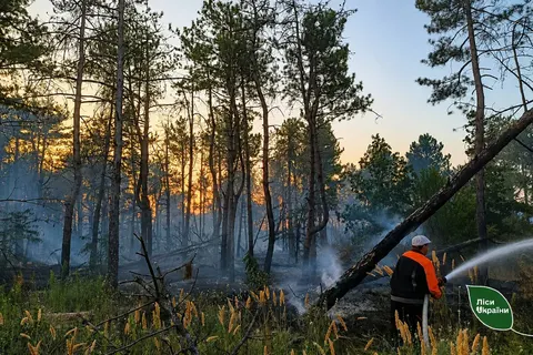 Спека на Херсонщині підірвала міни: дві лісові пожежі загасили