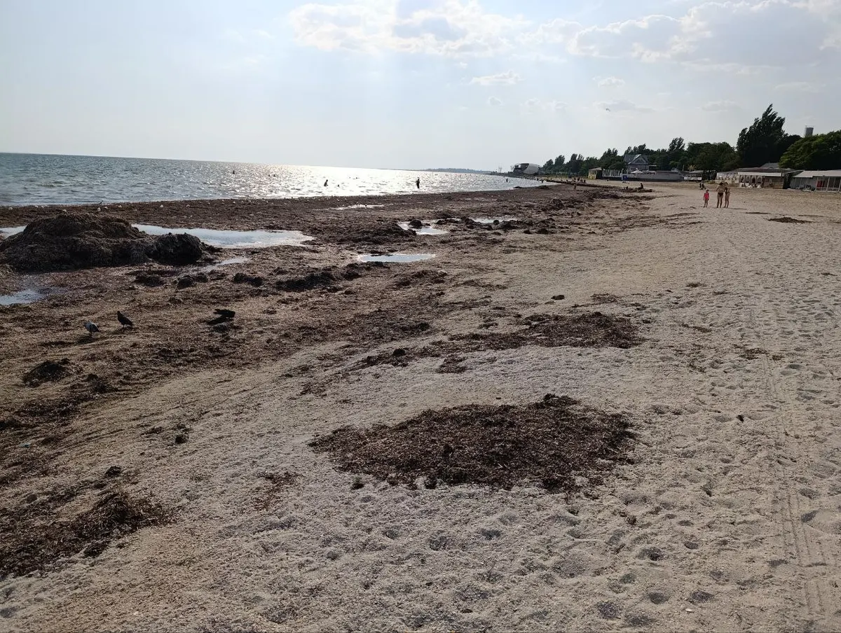 Окупанти планують «5 мільйонів туристів» на лівобережжі Херсонщини