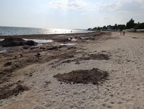 Окупанти планують «5 мільйонів туристів» на лівобережжі Херсонщини