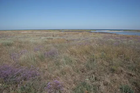 Пожежі на Херсонщині знищили п'яту частину суходолу Чорноморського заповідника