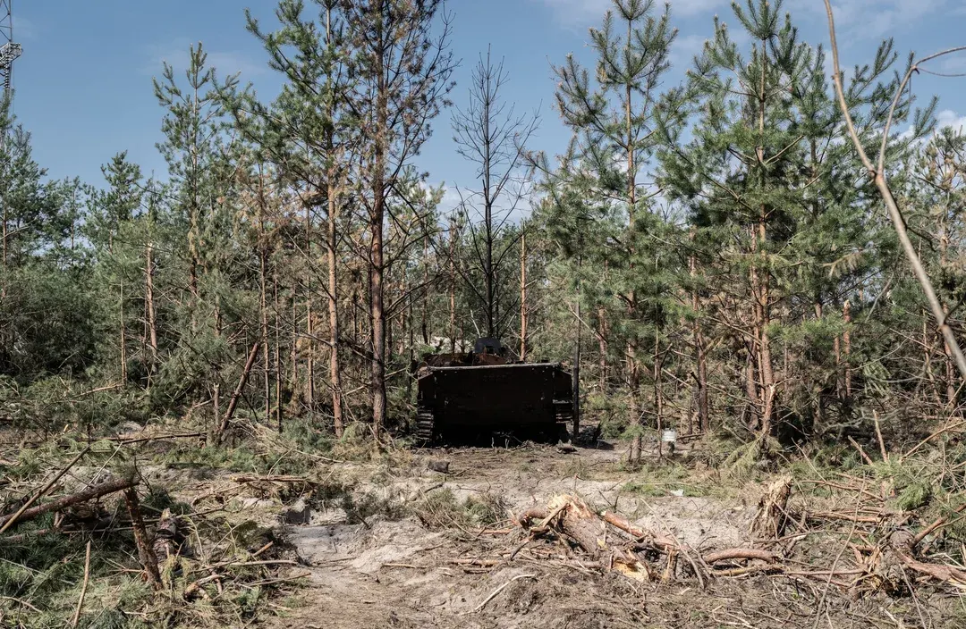 Окупанти визнали: на Херсонщині згоріло понад 15 тисяч гектарів лісу
