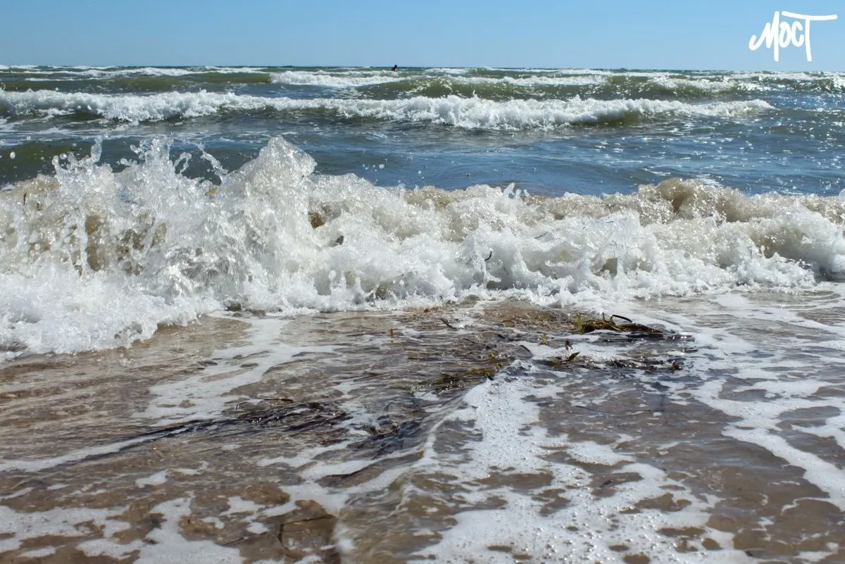 В Азовському морі побільшало солі — рибних видів поменшало вдвічі
