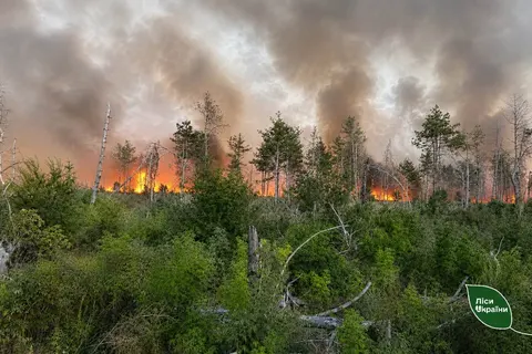У Херсонському лісі через уламки дрона вигоріло 27 гектарів