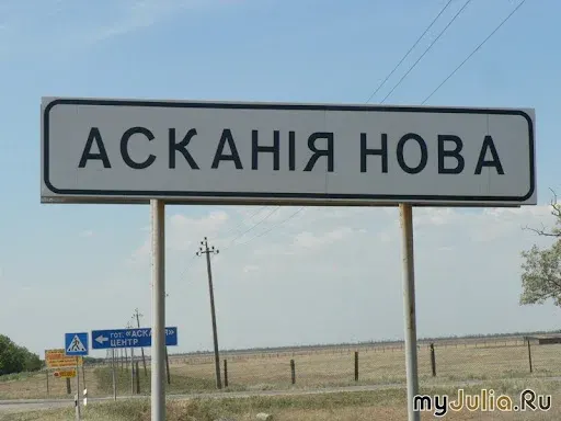 Пожежі на Херсонщині знищили понад 10 тисяч рослин в «Асканії-Нова»