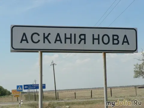 Пожежі на Херсонщині знищили понад 10 тисяч рослин в «Асканії-Нова»